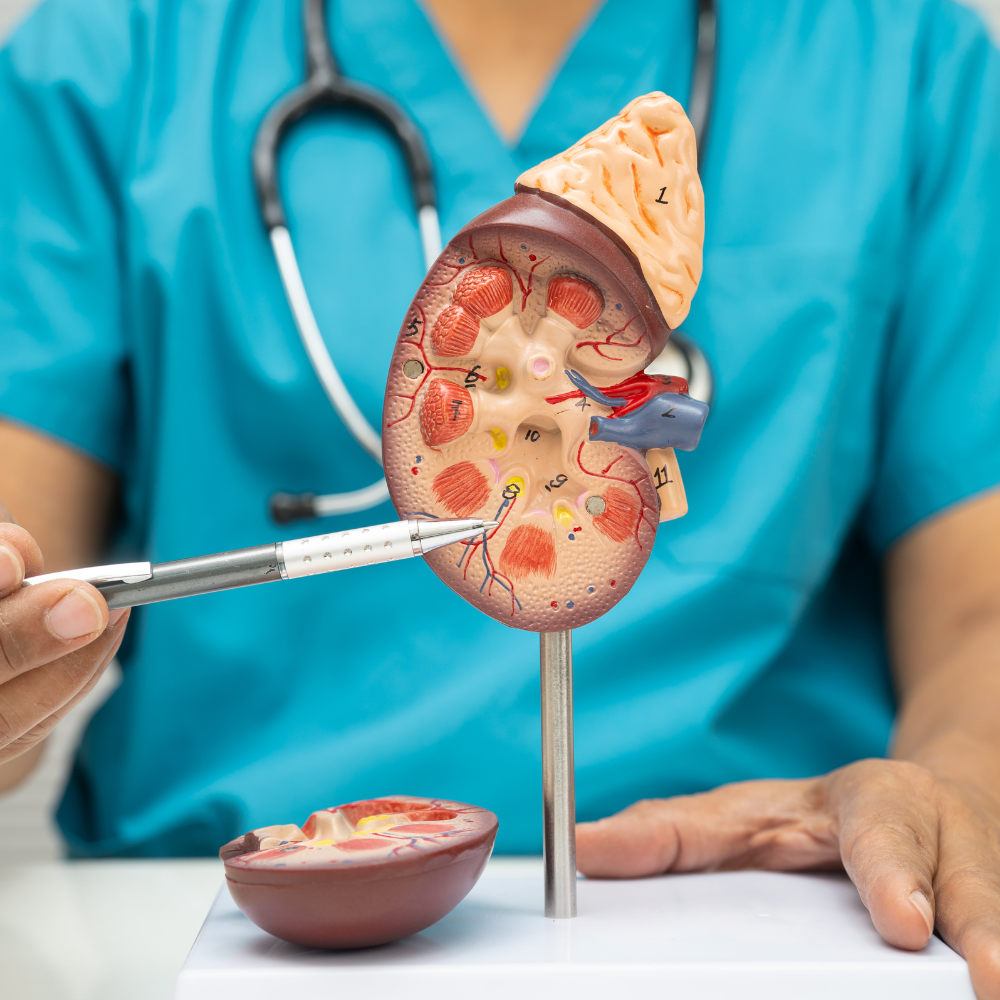 Chirurgo a Napoli,Medico Chirurgo